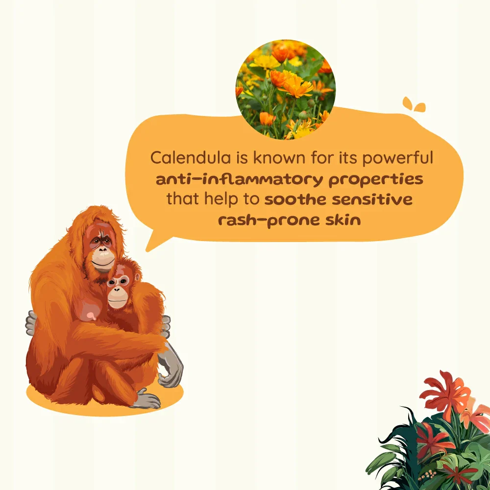 Napkin Rash Coconut Balm for Moms |Safe & effective for Napkin rashes | 50 g - Image 5